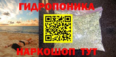 мяу мяу мука Кингисепп